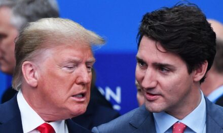 Newt Gingrich says Trump may have ‘broken’ Trudeau government during historic transition period