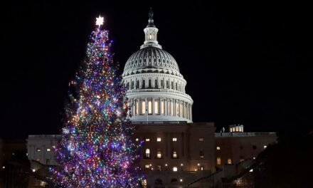 Rockin’ around the congressional Christmas tree