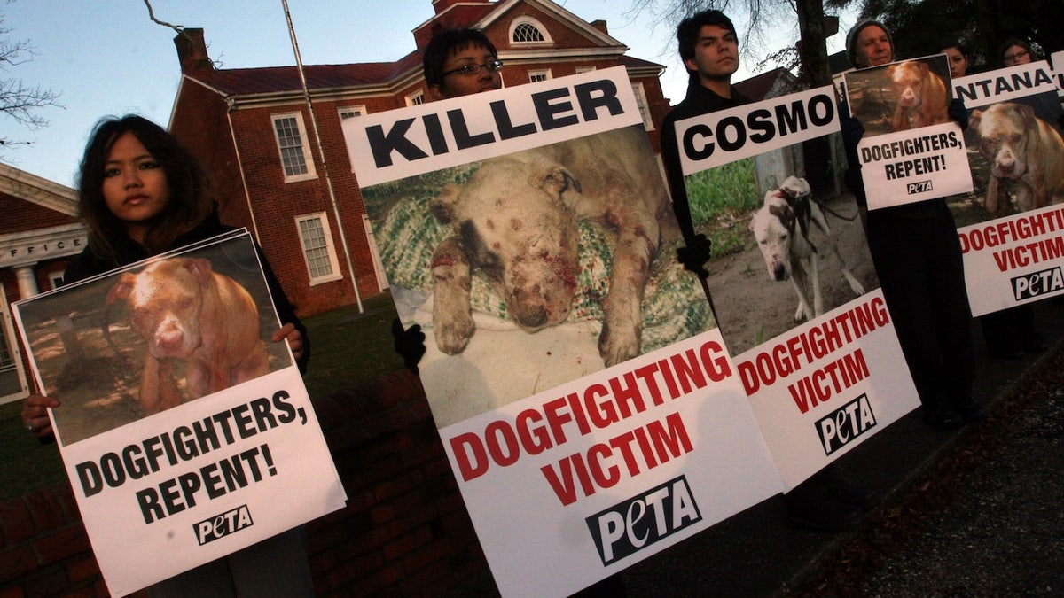 Animal advocates from PETA demonstrate as Michael Vick appears at Sussex County Courthouse for a plea agreement in his state dogfighting charges.