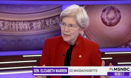 Elizabeth Warren’s scary remark about United Healthcare CEO’s murder is latest of her many crazy comments