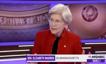 Elizabeth Warren says killing of UnitedHealthcare CEO was a warning: ‘You can only push people so far’