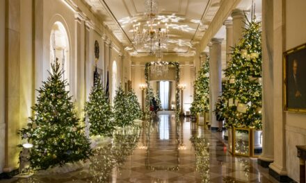 The history of White House Christmas trees, including Theodore Roosevelt’s ‘ban’ of the holiday tradition