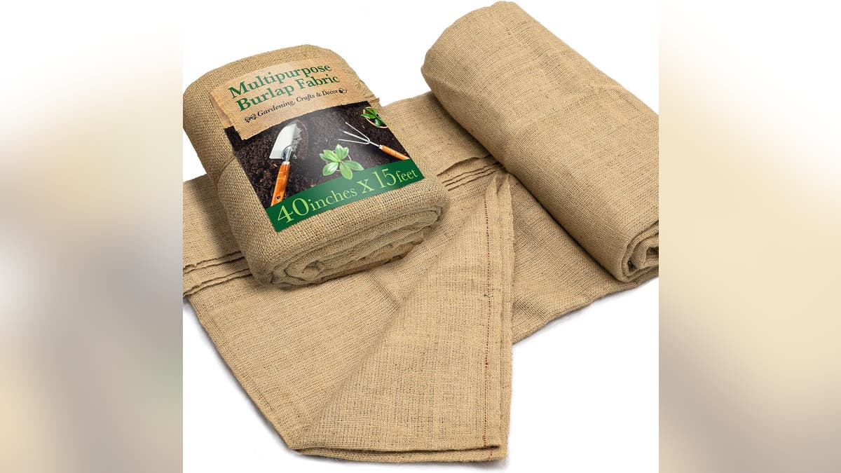 Burlap is a great insulator for delicate trees and shrubs.