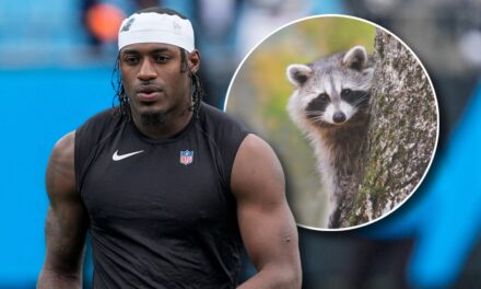 Panthers Xavier Legette Brought Enough Leftover Christmas Raccoon To Share With A Reporter