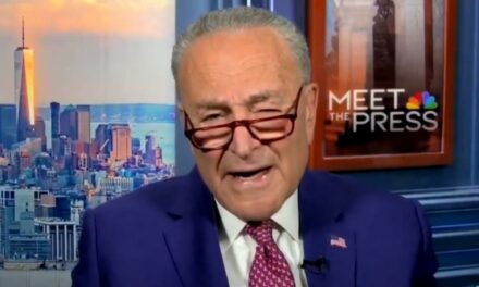 Schumer Blames Voters For Kamala Harris’s Crushing Election Loss (VIDEO)