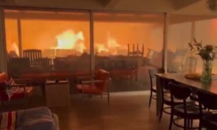 TOTAL DESTRUCTION: Apocalyptic Scenes as Los Angeles Wildfires Rage: Wall of Fire Surrounds Man in Pacific Palisades Home (VIDEO)