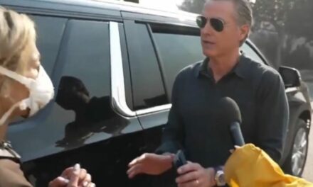 “Why Was There No Water in the Hydrants?!” – Newsom Pretends to Be on the Phone with Biden as Angry Constituent Gets in His Face, Demands Answers on His Disastrous Fire Response (VIDEO)