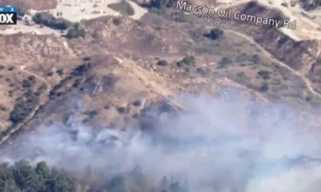 Another Fire Breaks Out in Los Angeles: New Fire in Granada Hills Threatens Residential Homes (VIDEO)