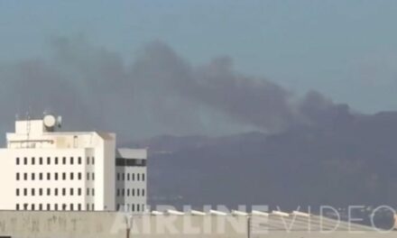 “UH-OH! Not Something You Want to See Here in Southern California!” – LAX Video Journalist Captures Moment Pacific Palisades Fire First Erupted Tuesday Morning (VIDEO)