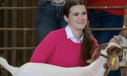 Show Goat Dies Horrifically in Teen Competitor’s Arms, Older Rival Now Facing Felony Charge Under Texas Law