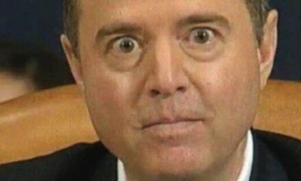 ‘Your House Burned Down? Trump’s a Convicted Felon!’ Adam Schiff Knows What Voters REALLY Care About!