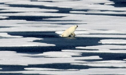 Okay, Trump Is Serious About Acquiring Greenland, and the Game Is Heating Up