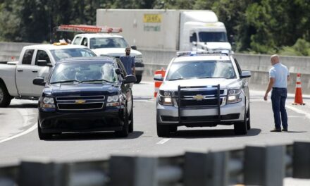 Report: Wild Traffic Stop in South Carolina Leads to Bomb Threat – and the Shutdown of Parts of I-85