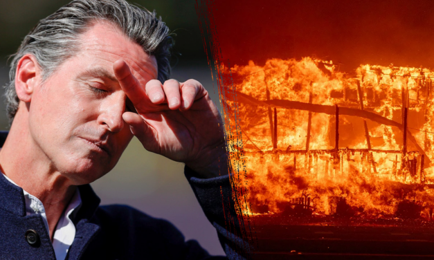 Gov. Newsom cut fire budget by $100M months before lethal California fires