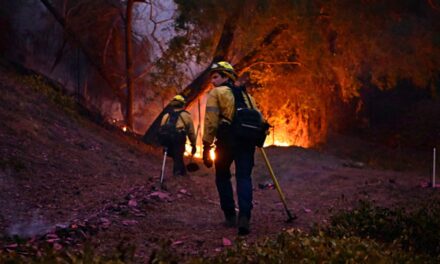 Death Toll From LA Wildfires Rises to 16