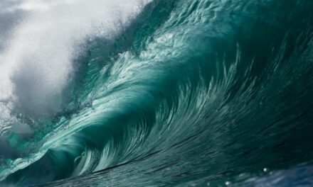 108 Feet?: California Surfer May Have Broken World Record for Biggest Wave Ever