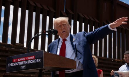 Deport Millions, Finish the Wall, Tax Remittances, and End Birthright Citizenship