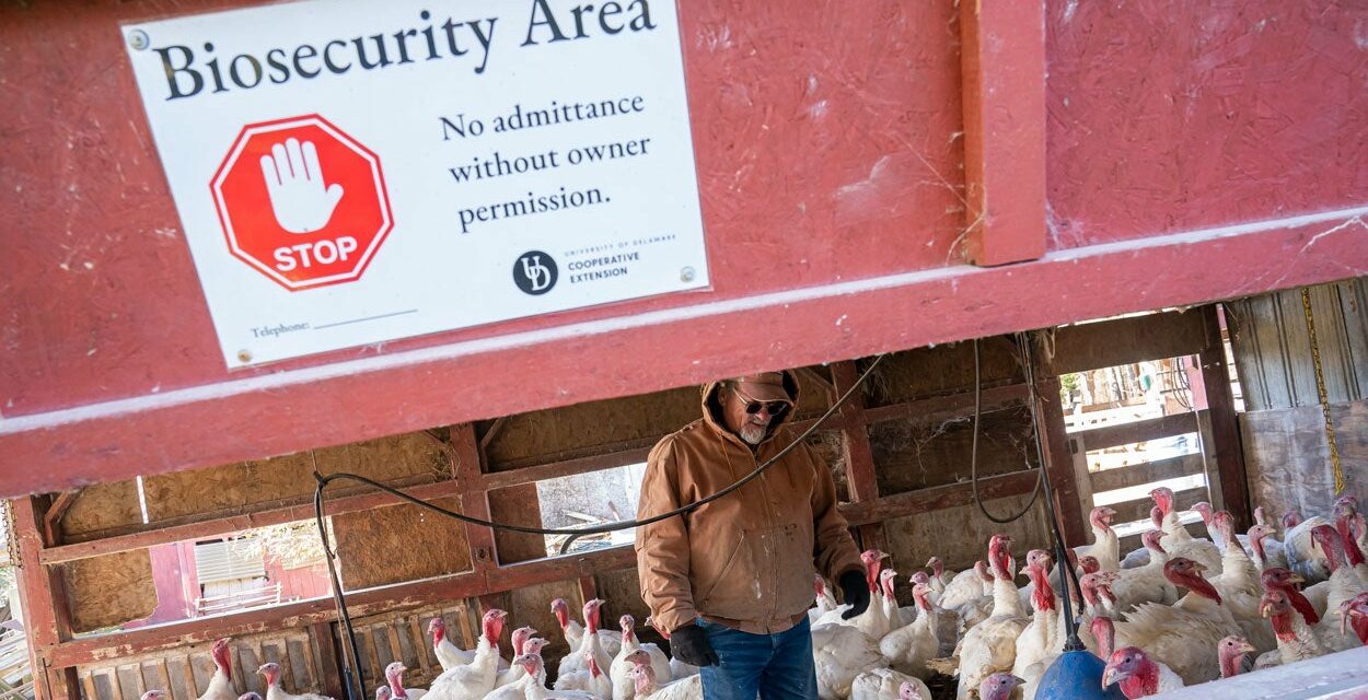 Former CDC Chief Warns Bird Flu Could Be ‘More Catastrophic Than COVID’