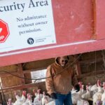 Former CDC Chief Warns Bird Flu Could Be ‘More Catastrophic Than COVID’