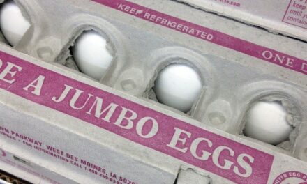 Blue State Blues: Eggs Hit $9 a Dozen in California