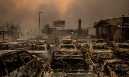 Before and After: Satellite Images Show Destruction Caused by California Wildfires and Democrat Policies