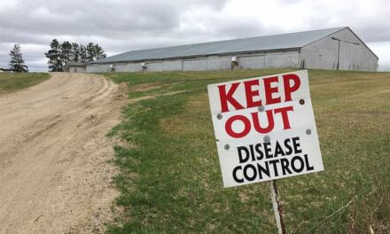 Southern State Reports First Human Bird Flu Death