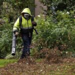 Nothing but Hot Air: Los Angeles Officials Ban Leaf Blowers to Slow the Spread of Wildfires