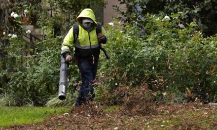 Nothing but Hot Air: Los Angeles Officials Ban Leaf Blowers to Slow the Spread of Wildfires