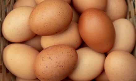 Egg Prices Hit Shocking Highs – Will $9 a Dozen Be the New Standard?