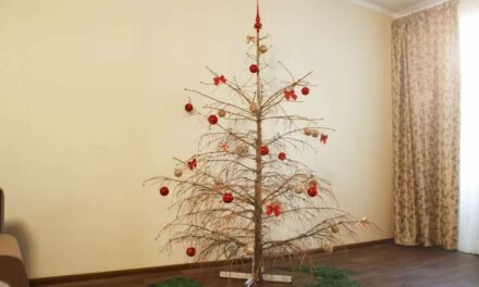 ‘Please, Someone Kill Me Now,’ Begs Dried-Out Christmas Tree From Corner Of Living Room