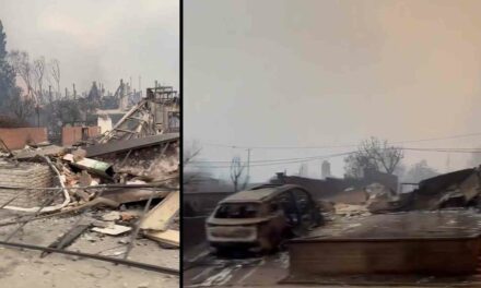 VIDEOS: In the light of day, the damage from the LA wildfires makes the city look like a war zone