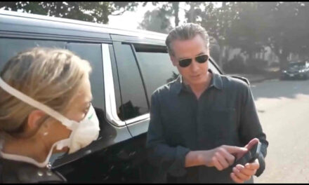 This LA woman tried to talk to Gov. Newsom but he said he was busy trying to get cell signal so he could call the president