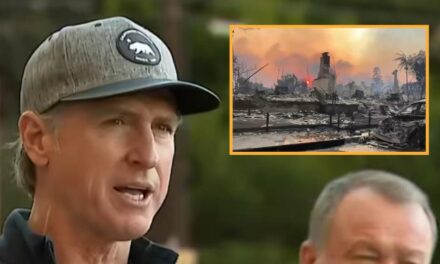 Newsom Reassures Fire Victims He’ll Be Prepared Next Time, Now That He Knows Water Is Useful In Fighting Fires