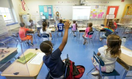 Equity vs. Excellence: How Modern Education Policies Are Failing Students