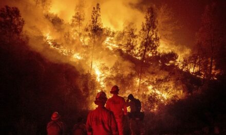 More Memories: Wildfires I’ve Known and Run From