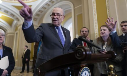 Chuck Schumer’s Done Trusting VOTERS to ‘Protect Democracy’ (Guess Who He’s Looking to NOW)