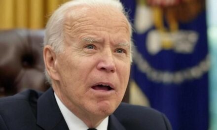 CNN: Joe Biden ‘Flat-Out Bonkers’ for Thinking He Could Have Beaten Trump