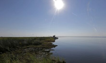 Trump: Let’s Rename the Gulf of Mexico