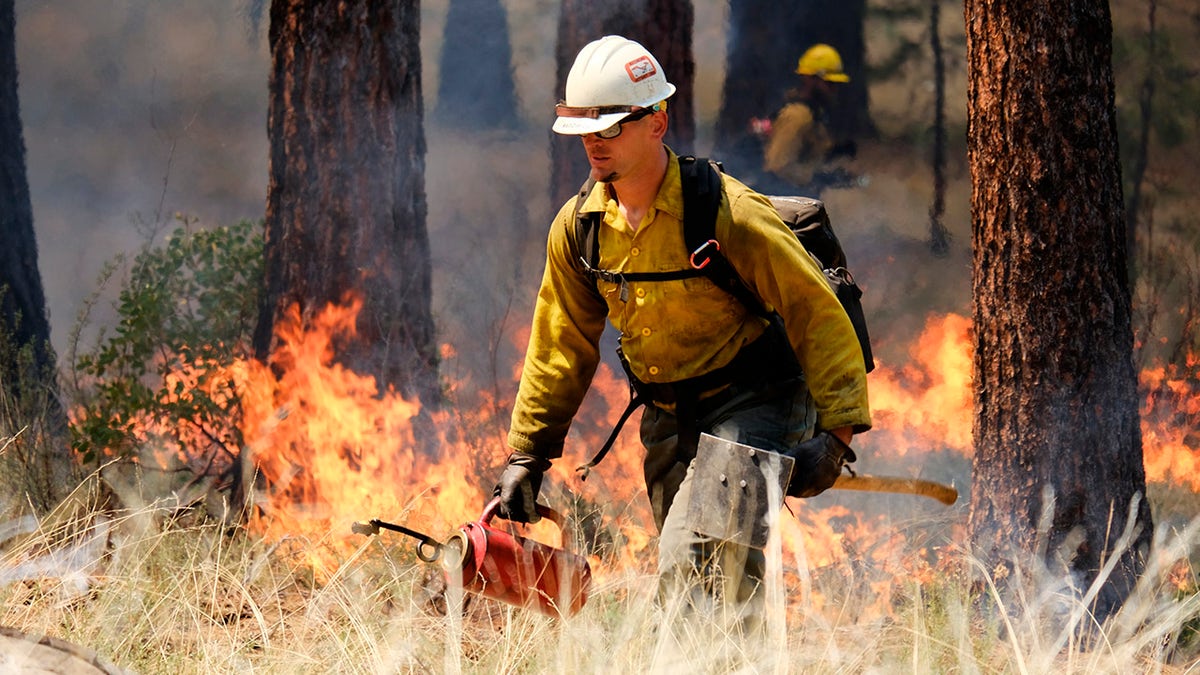 firefighters prescribed burn