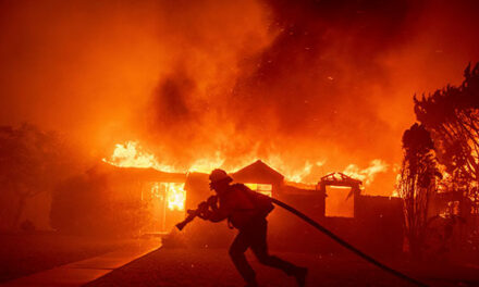 LAFD: 25-Year-Old Female Firefighter Sustains ‘Serious’ Head Injury Battling Palisades Fire