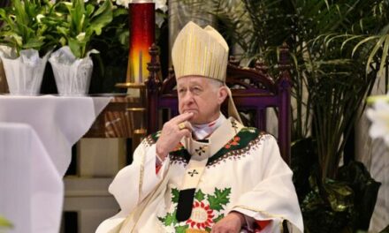 Chicago Archbishop: Deportation of Illegals ‘Would Be Intolerable’