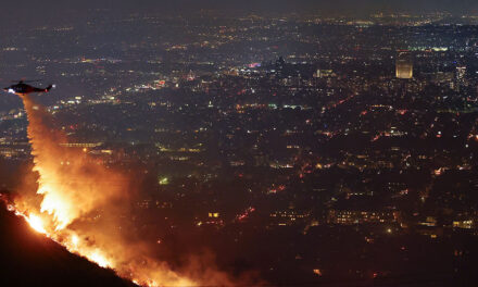 Arson suspected as wildfires ravage Los Angeles; Santa Monica caught in chaos