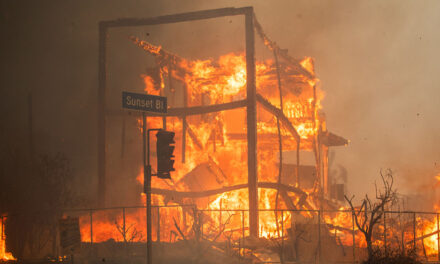 Hollywood Hills ABLAZE: Wildfires devastate Los Angeles, forcing mass evacuations and claiming lives