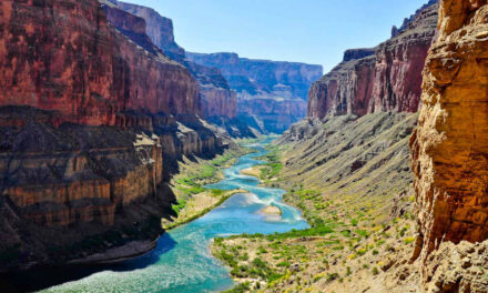 The Colorado River crisis is a threat to Americaâs food supply