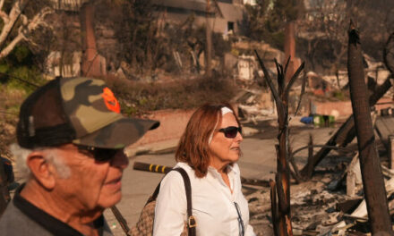 Los Angeles Homeowners in Insurance Crisis as Wildfires Blaze On