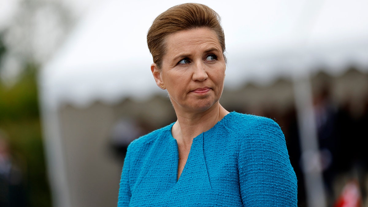 Denmark prime minister