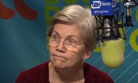 Senate Banking Committee Member Elizabeth Warren Does Not Understand How Social Security Works