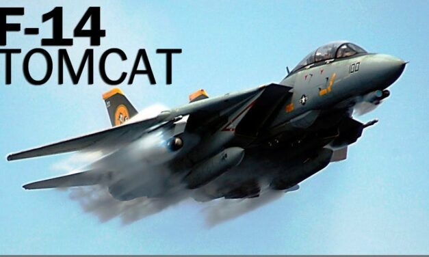 The F-14 Tomcat Had 1 Big Feature the Navy Misses