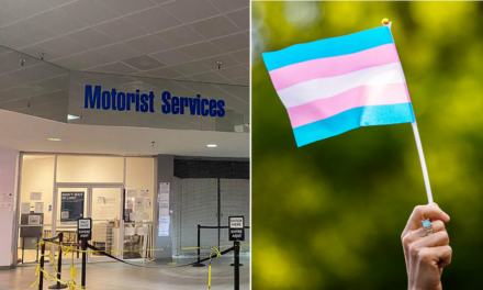 Florida DMV cancels trans TikToker’s driver’s license after possibly violating law changing gender label