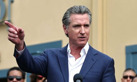 Gavin Newsom Has No Credibility on Forest Management